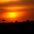 Couché de soleil sur Masaï Mara (3)