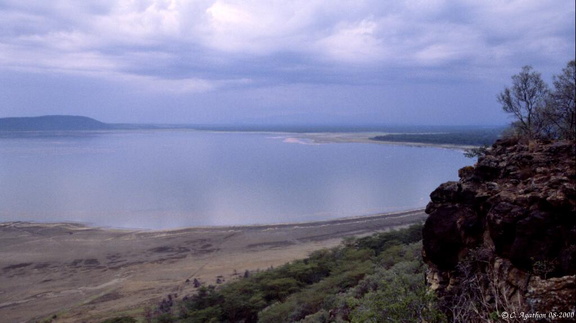 Lac Nakuru (3)
