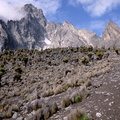 Massif déchiqueté du Mt Kenya