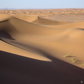 Trésors de dune - courbes
