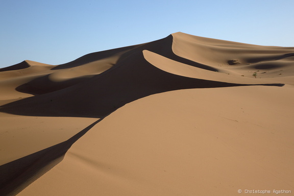 Trésors de dune - méandres