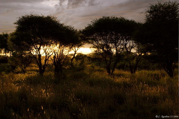 Premier coucher de Soleil Namibien