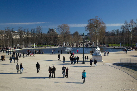 Bassin des Tuileries en hiver (1)