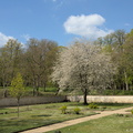 Jardin de Vallois au printemps