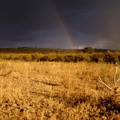 Ciel de pluie sur Masaï Mara