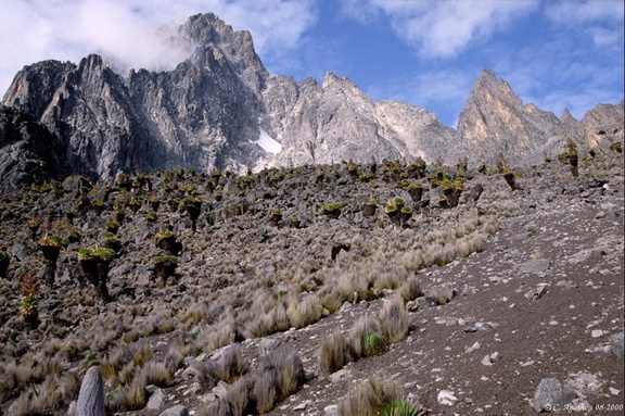 Massif déchiqueté du Mt Kenya