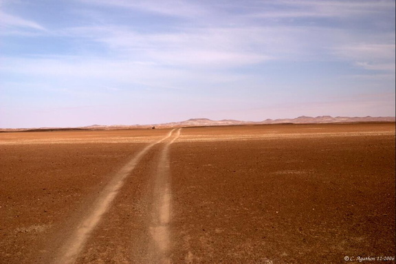 Piste dans le désert du Damaraland